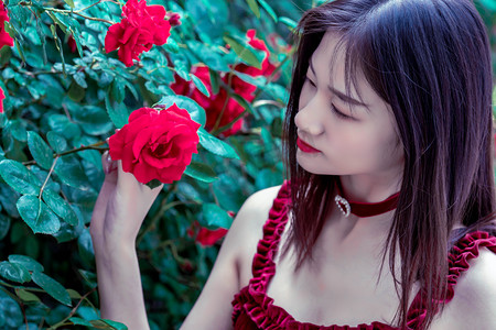 探秘边境小城“蜜都”饶河的多彩魅力